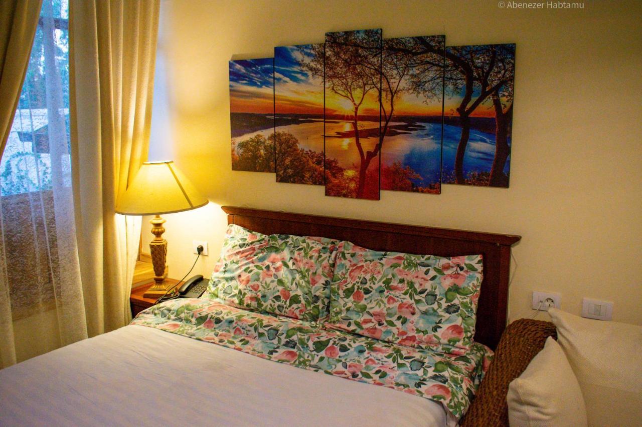 Choice Guest House 2 Addisz-Abeba Kültér fotó